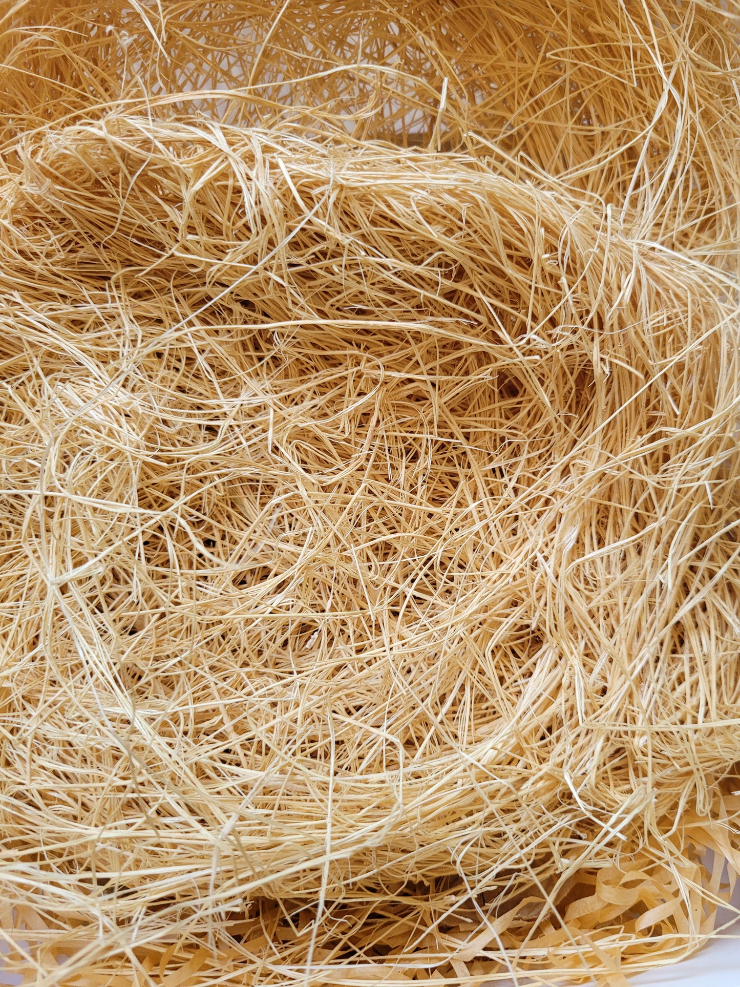 éponge en fibre végétale naturelle et écologique