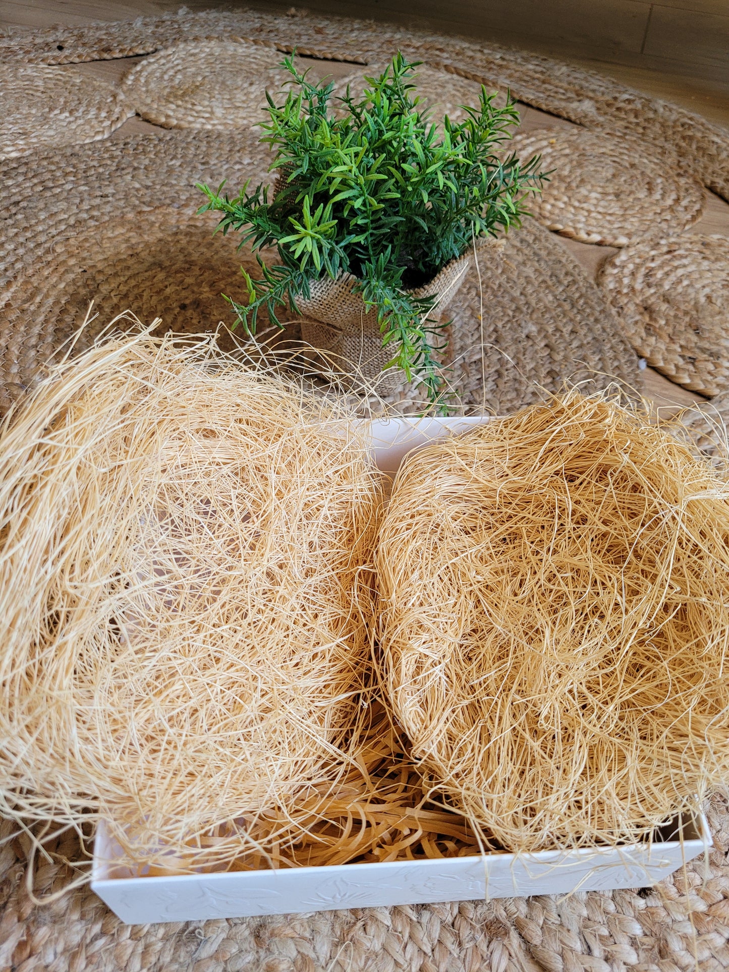 éponge en fibre végétale naturelle et écologique