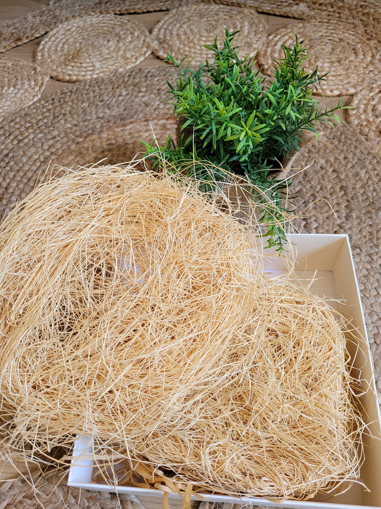 lot de 2 éponges en fibre végétale naturelle et écologique
